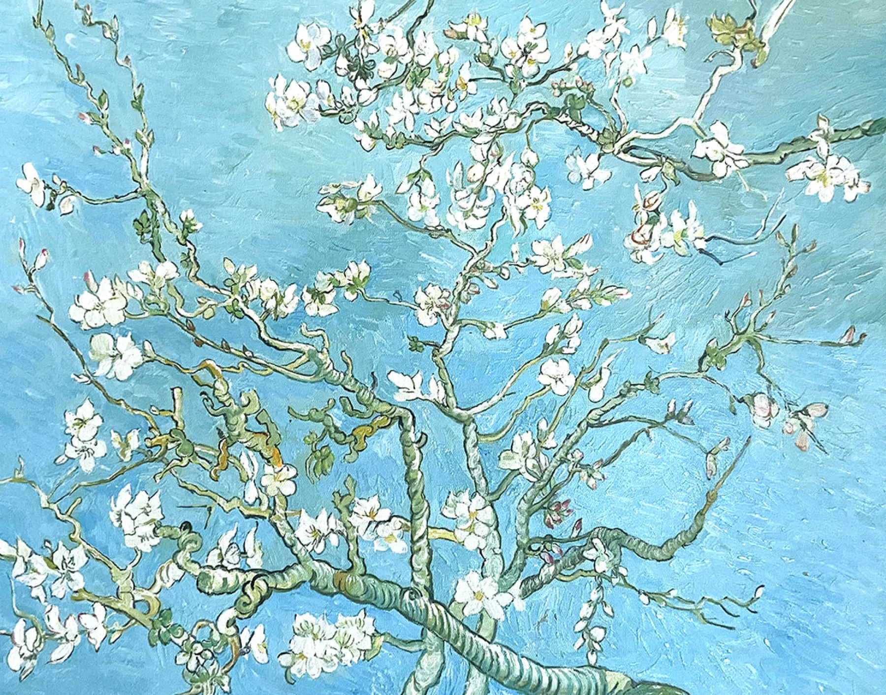 Galerie Mont Almond Blossom - Vincent Van Gogh^ Van Gogh