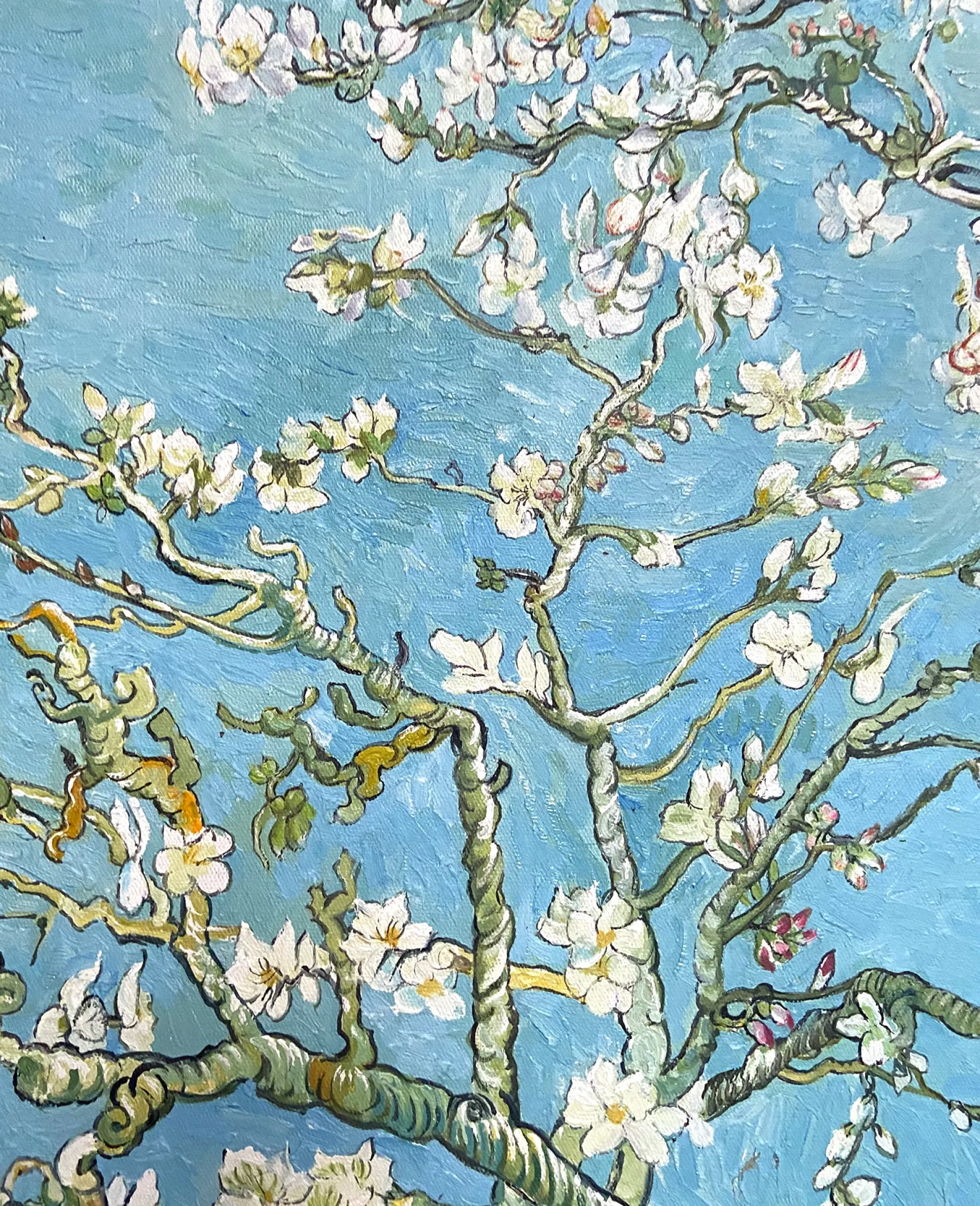 almond_blossom__vincent_van_gogh_4.webp Galerie Mont Almond Blossom - Vincent Van Gogh^ Van Gogh