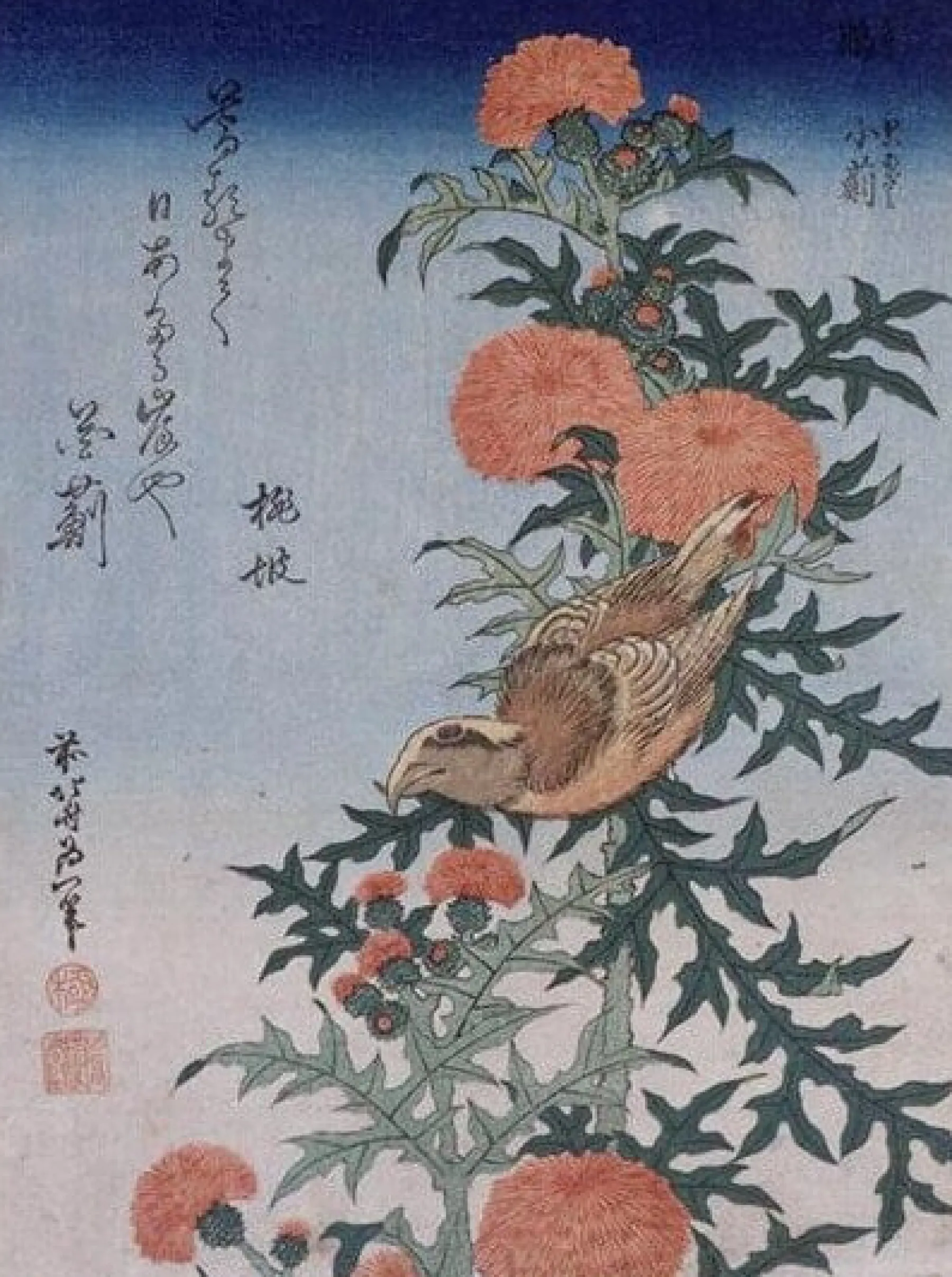 Galerie Mont Crossbill and thistle - Hokusai^ Hokusai