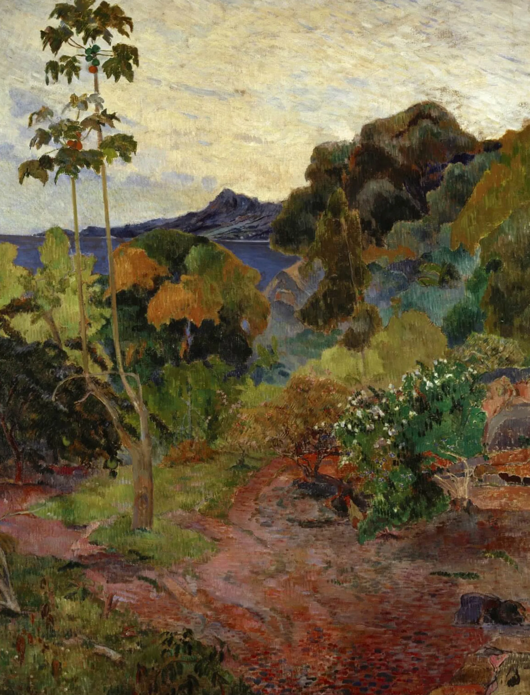 Galerie Mont Martinique Landscape - Paul Gauguin^ Gauguin