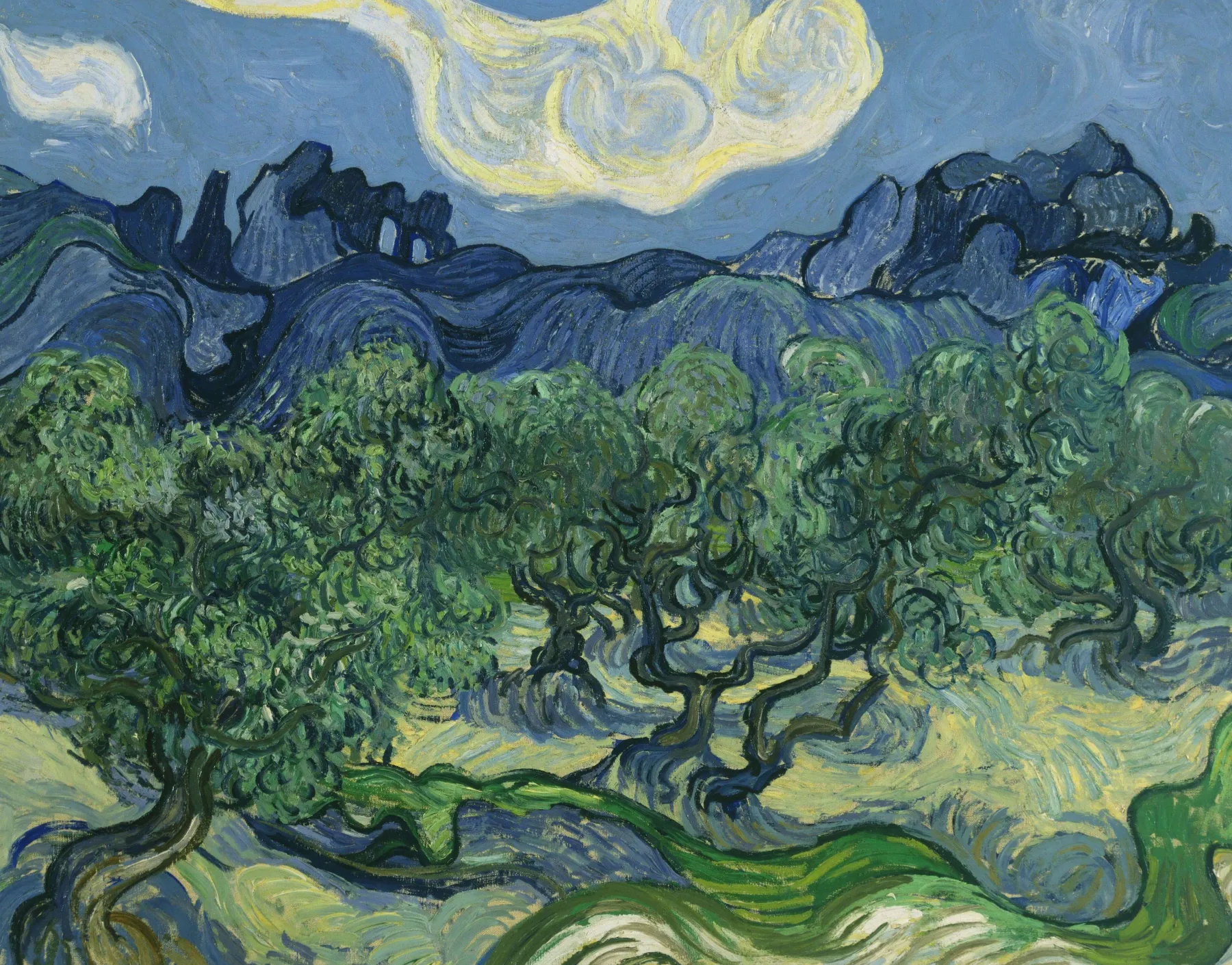 Galerie Mont Olive trees with the Alpilles in the background - Vincent Van Gogh^ Van Gogh