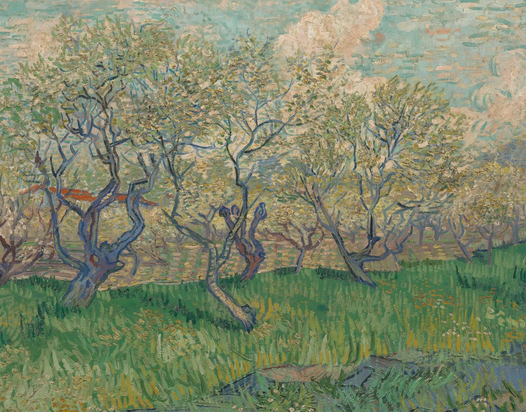 Galerie Mont Orchard in bloom - Vincent Van Gogh^ Van Gogh