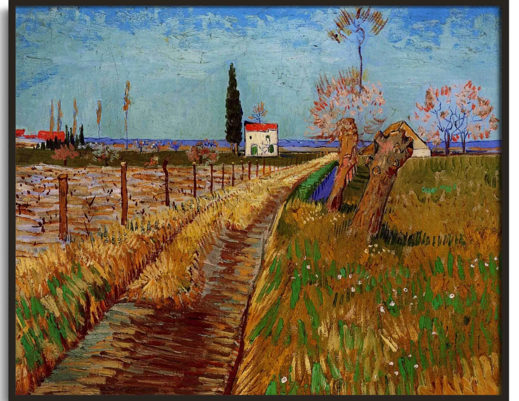 Galerie Mont Path through a field of willows - Vincent Van Gogh^ Van Gogh
