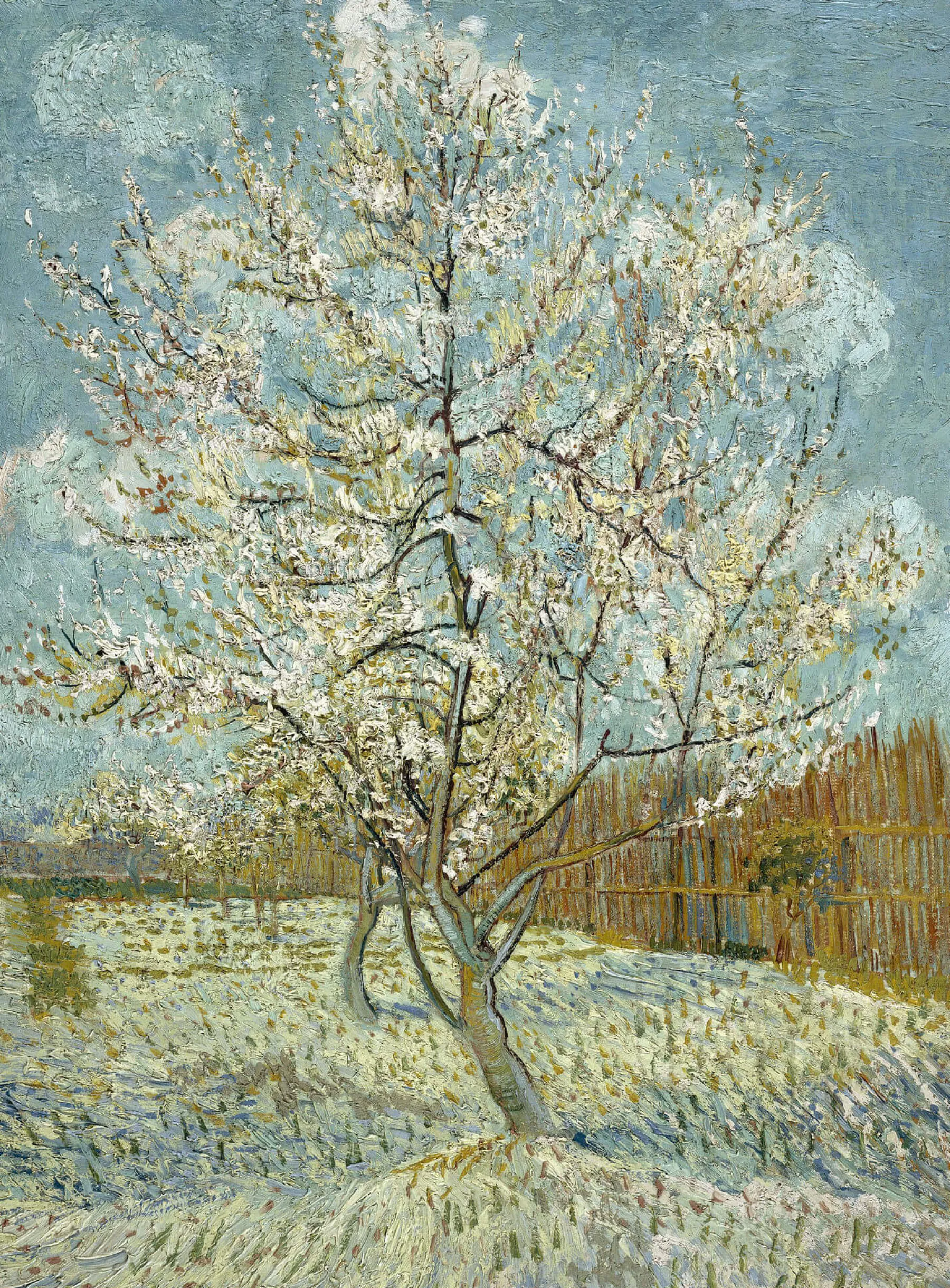 Galerie Mont Peach blossom - Vincent Van Gogh^ Van Gogh