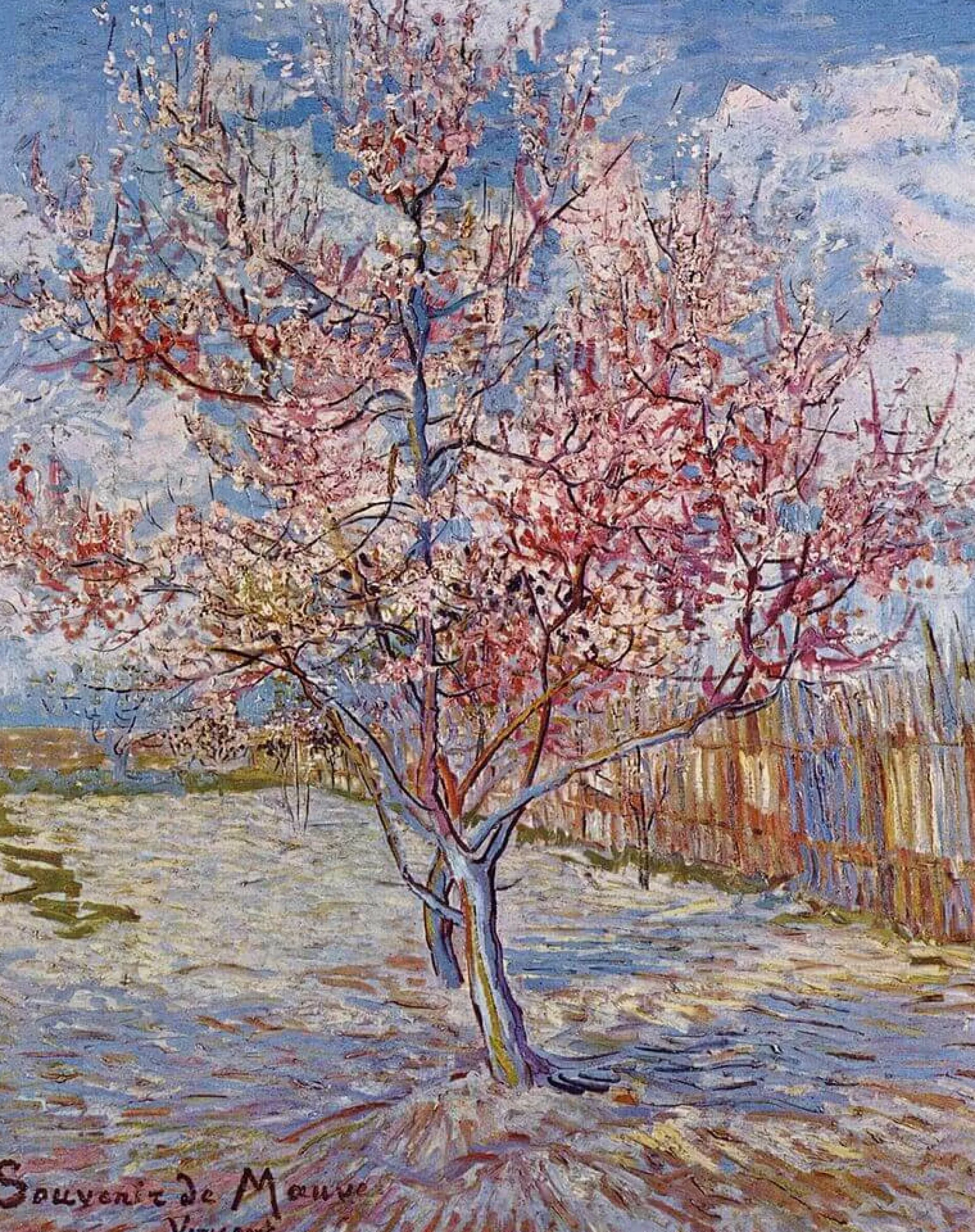 Galerie Mont Pink peach tree - Vincent Van Gogh^ Van Gogh
