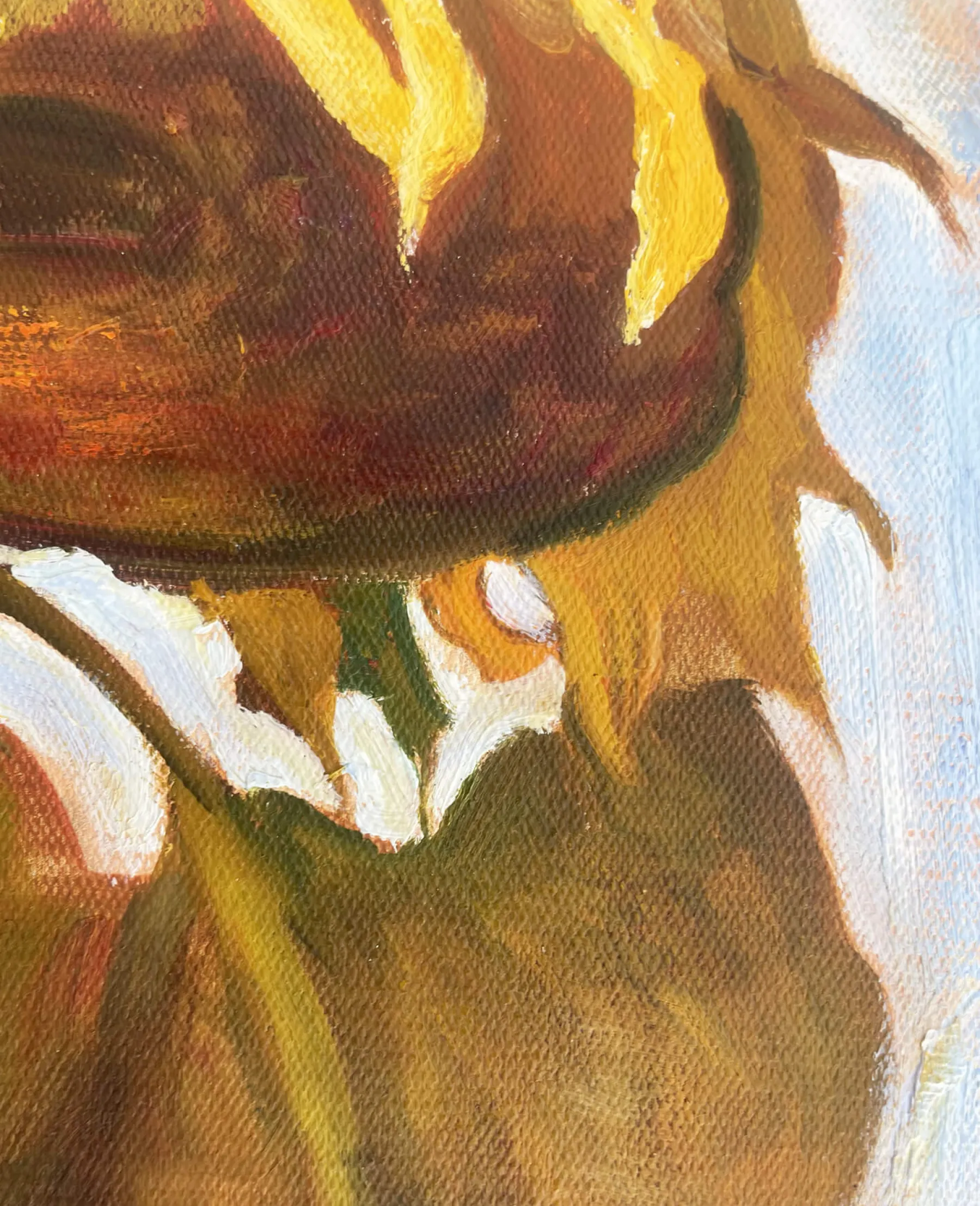 sunflower___egon_schiele_4.webp Galerie Mont Sunflower 1908 - Egon Schiele^ Schiele