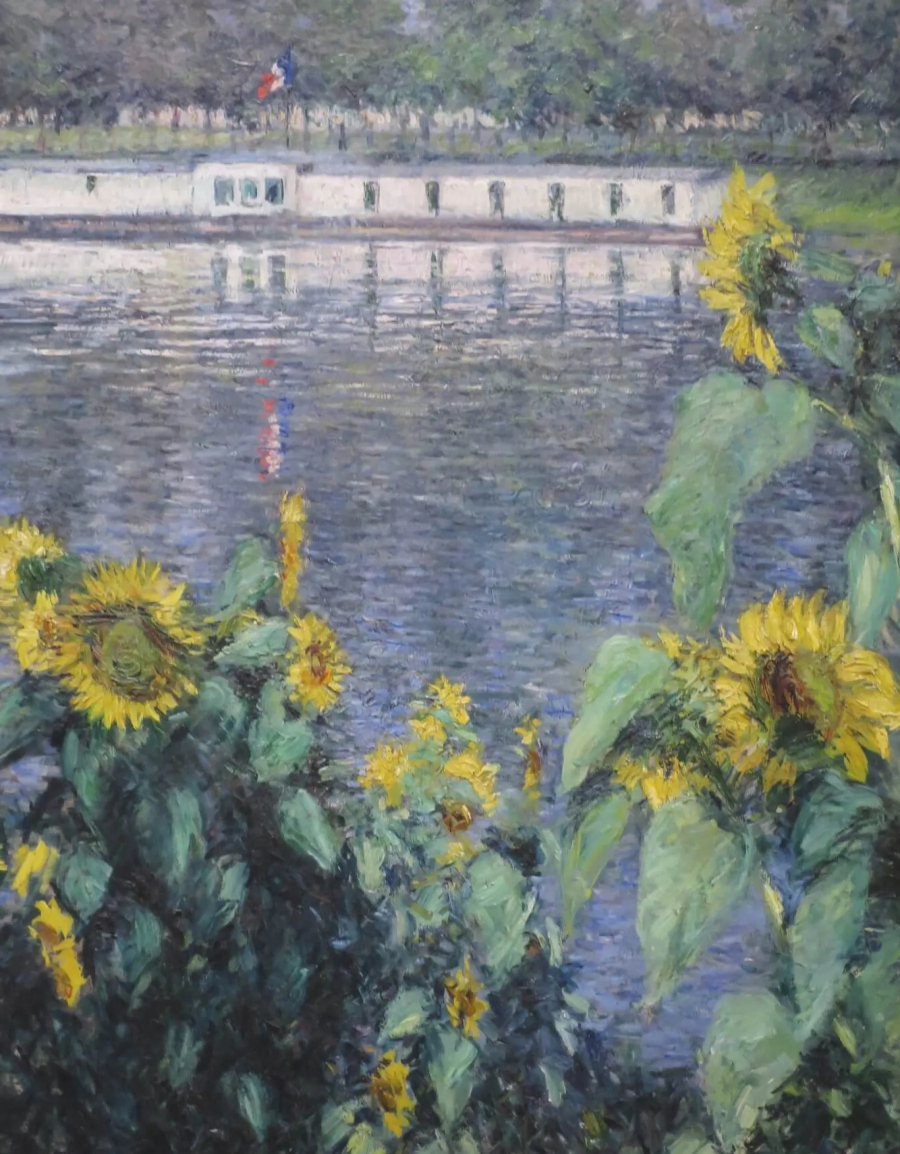 Galerie Mont Sunflowers by the Seine - Gustave Caillebotte^ Caillebotte