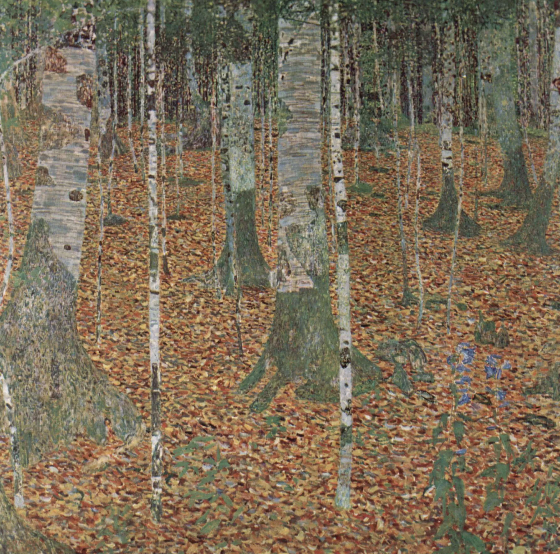 Galerie Mont The birch woods - Gustav Klimt^ Klimt