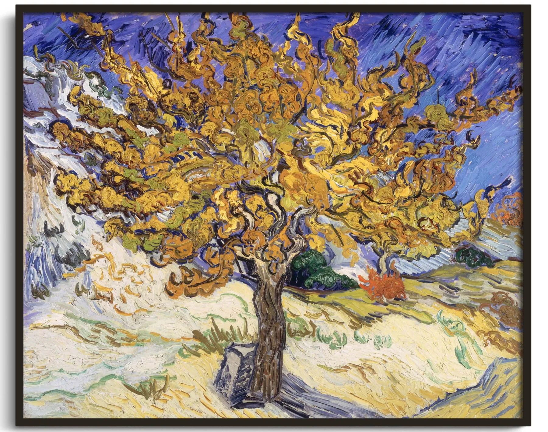 Galerie Mont The Mulberry Tree - Vincent Van Gogh^ Van Gogh