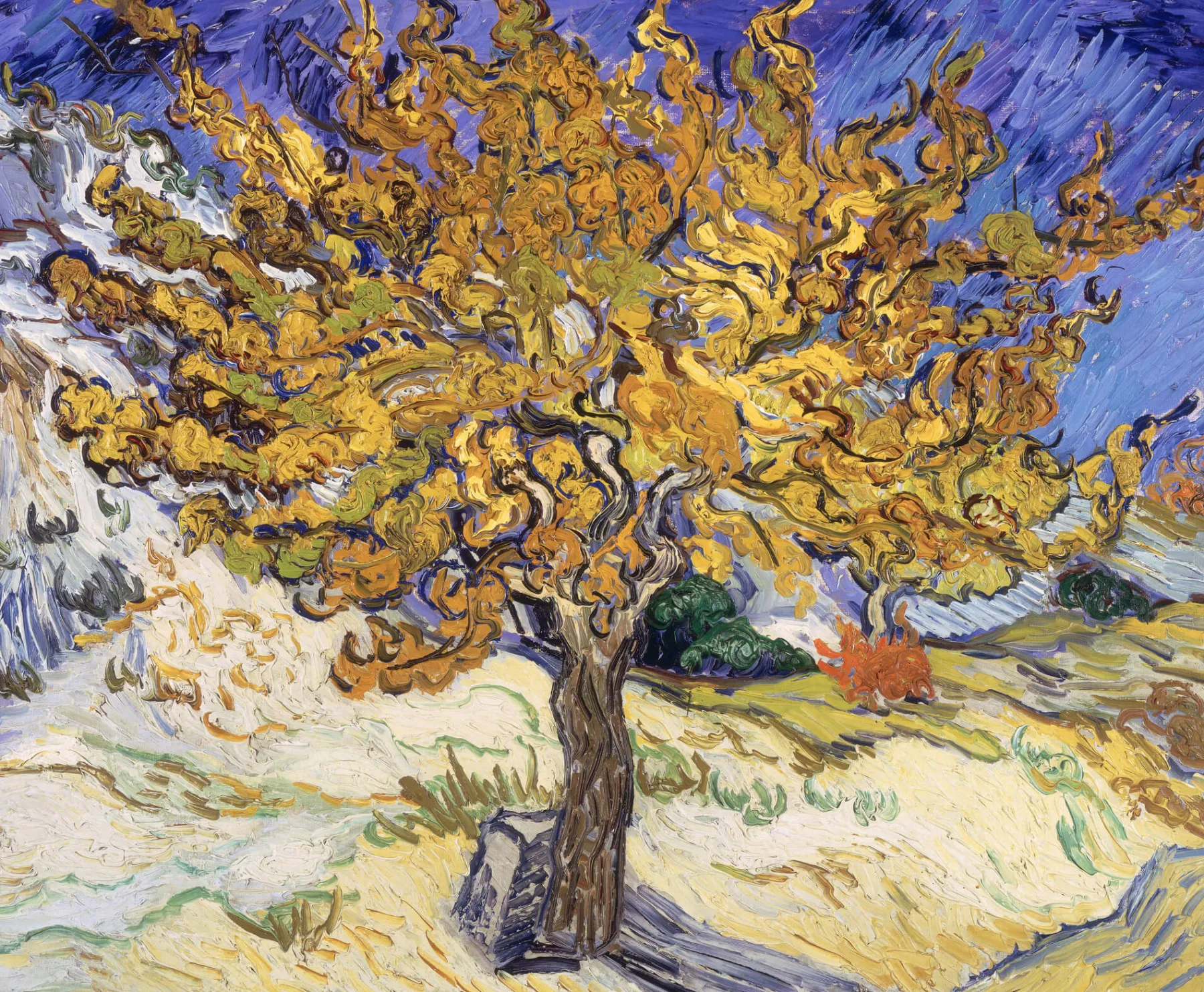 Galerie Mont The Mulberry Tree - Vincent Van Gogh^ Van Gogh