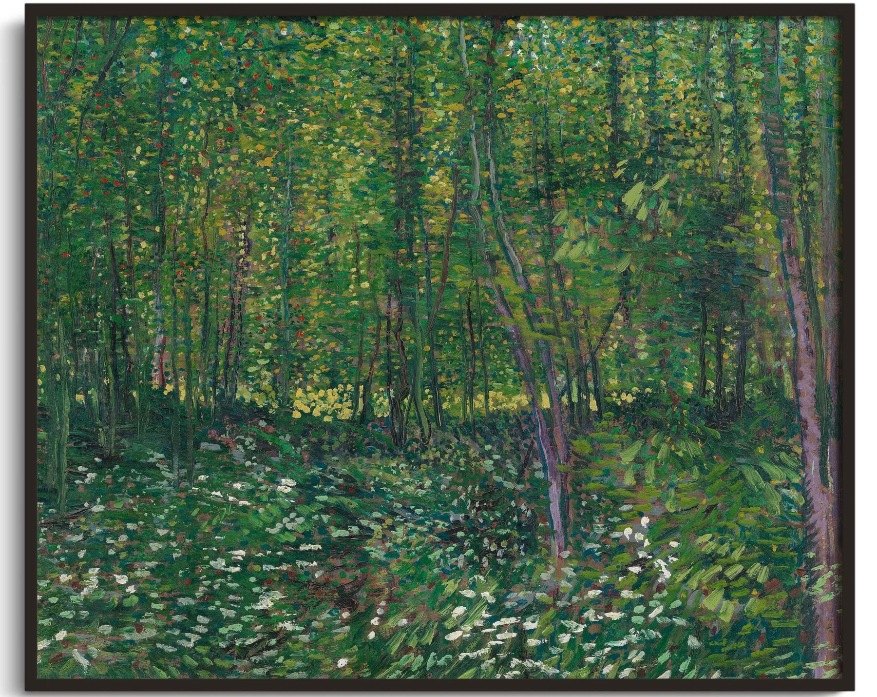 Galerie Mont Trees and undergrowth - Vincent Van Gogh^ Van Gogh