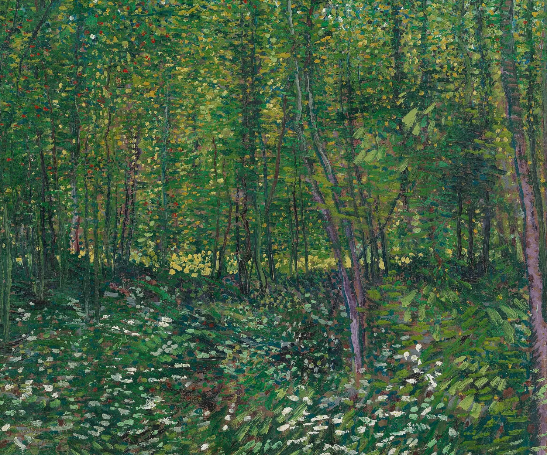 Galerie Mont Trees and undergrowth - Vincent Van Gogh^ Van Gogh