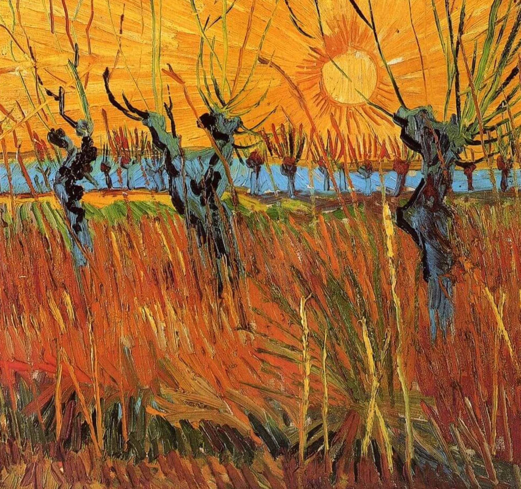 Galerie Mont Willows at sunset - Vincent Van Gogh^ Van Gogh